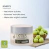 Lotus Professional Whitening & Brightening Creme SPF 25 - 50g - Image 3